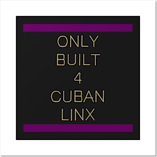 Only Built 4 Cuban Linx Posters and Art